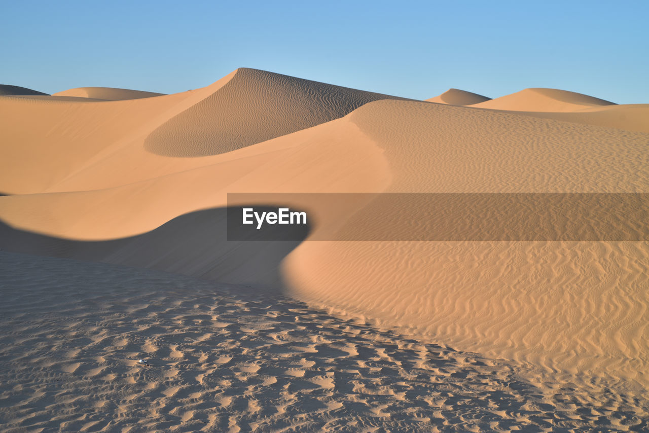 Sand dunes in a desert