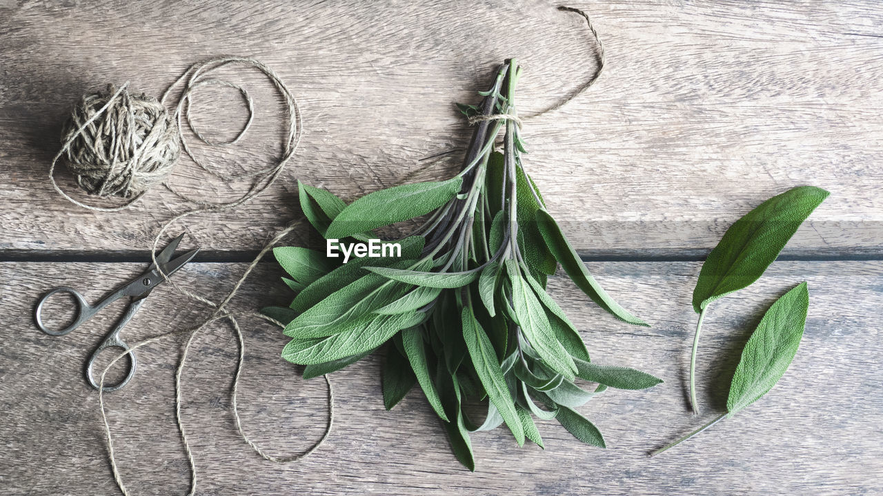 Sage leaves tied with hempstring on wooden table, herbs flat lay, overhead view