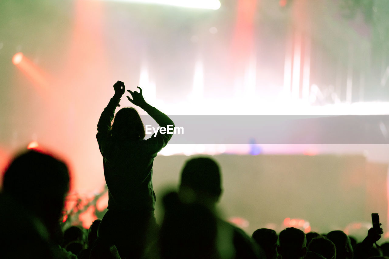 People enjoying music concert at night