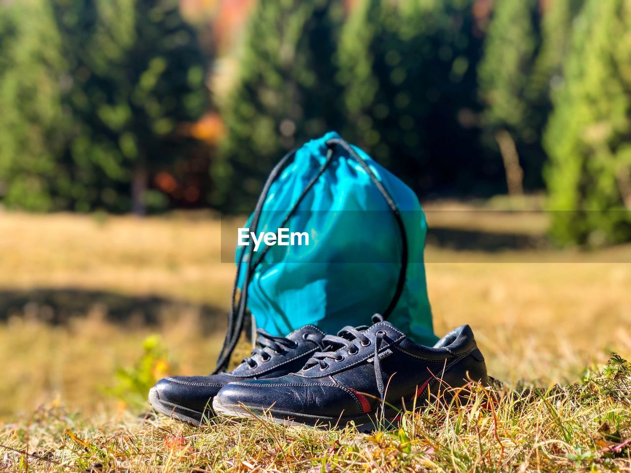 Hiking boots and blue backpack with forest in the background on a sunny day