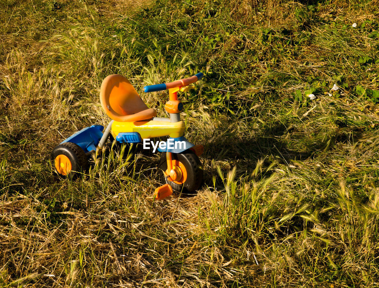 SIDE VIEW OF A MAN WITH TOY ON FIELD