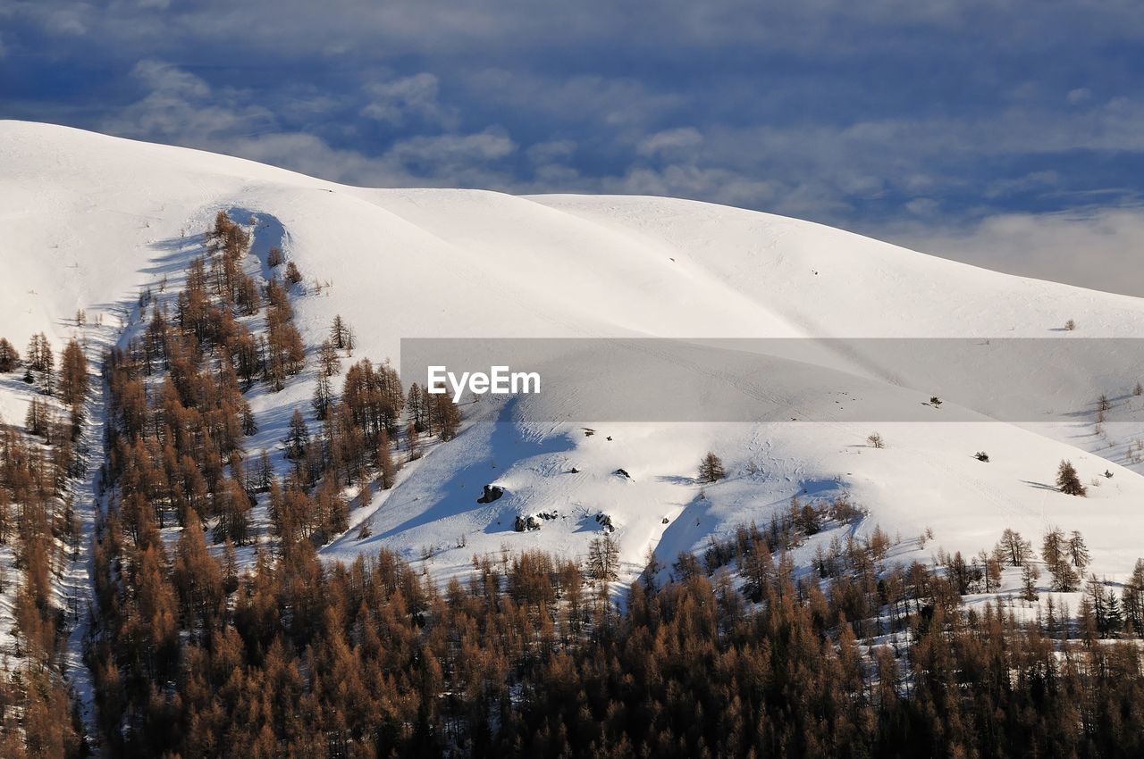 Panoramic view of trees on snowcapped mountain against sky