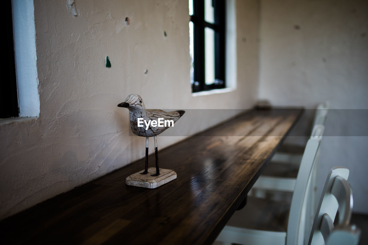 VIEW OF BIRD ON TABLE IN ROOM