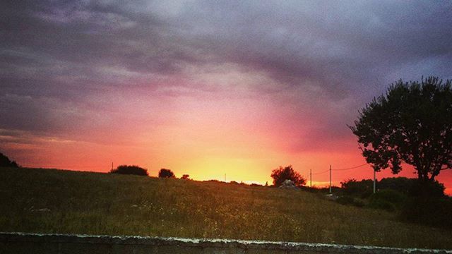 SCENIC VIEW OF LANDSCAPE AT SUNSET