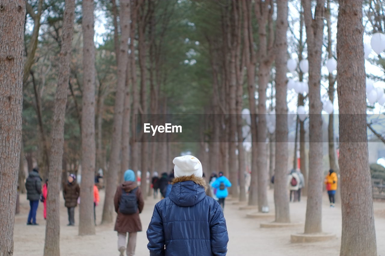 Woman walking amidst trees