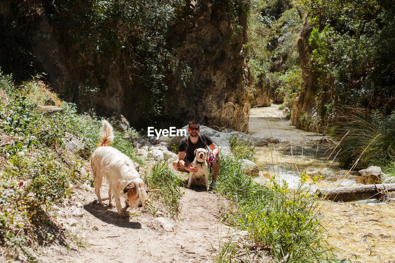 Young man at river with two dogs in summer