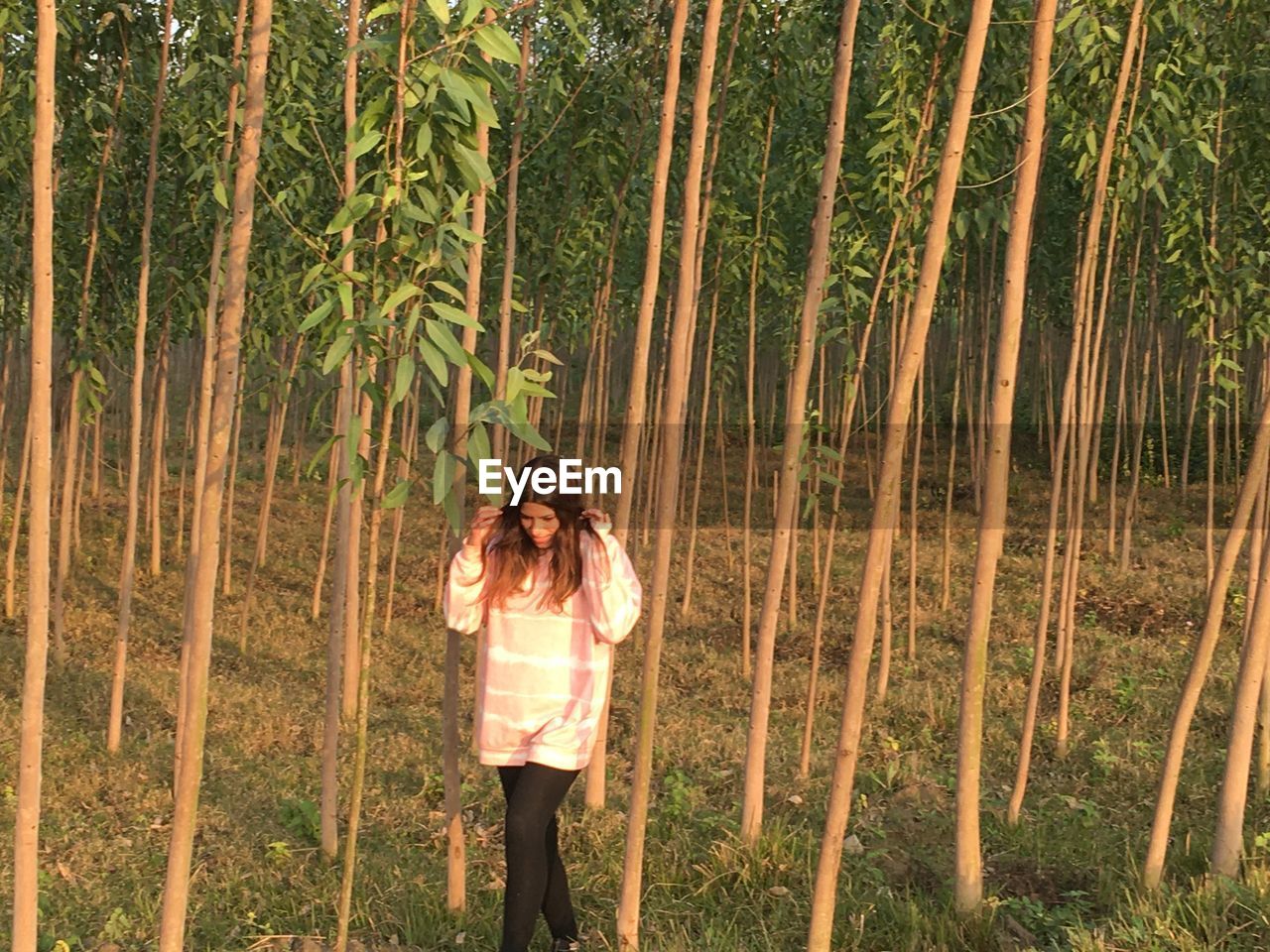 Woman standing in woodland