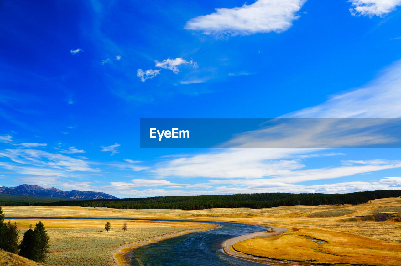 Scenic view of field against blue sky