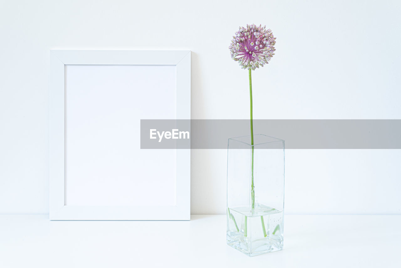 FLOWERS IN VASE AGAINST WHITE WALL