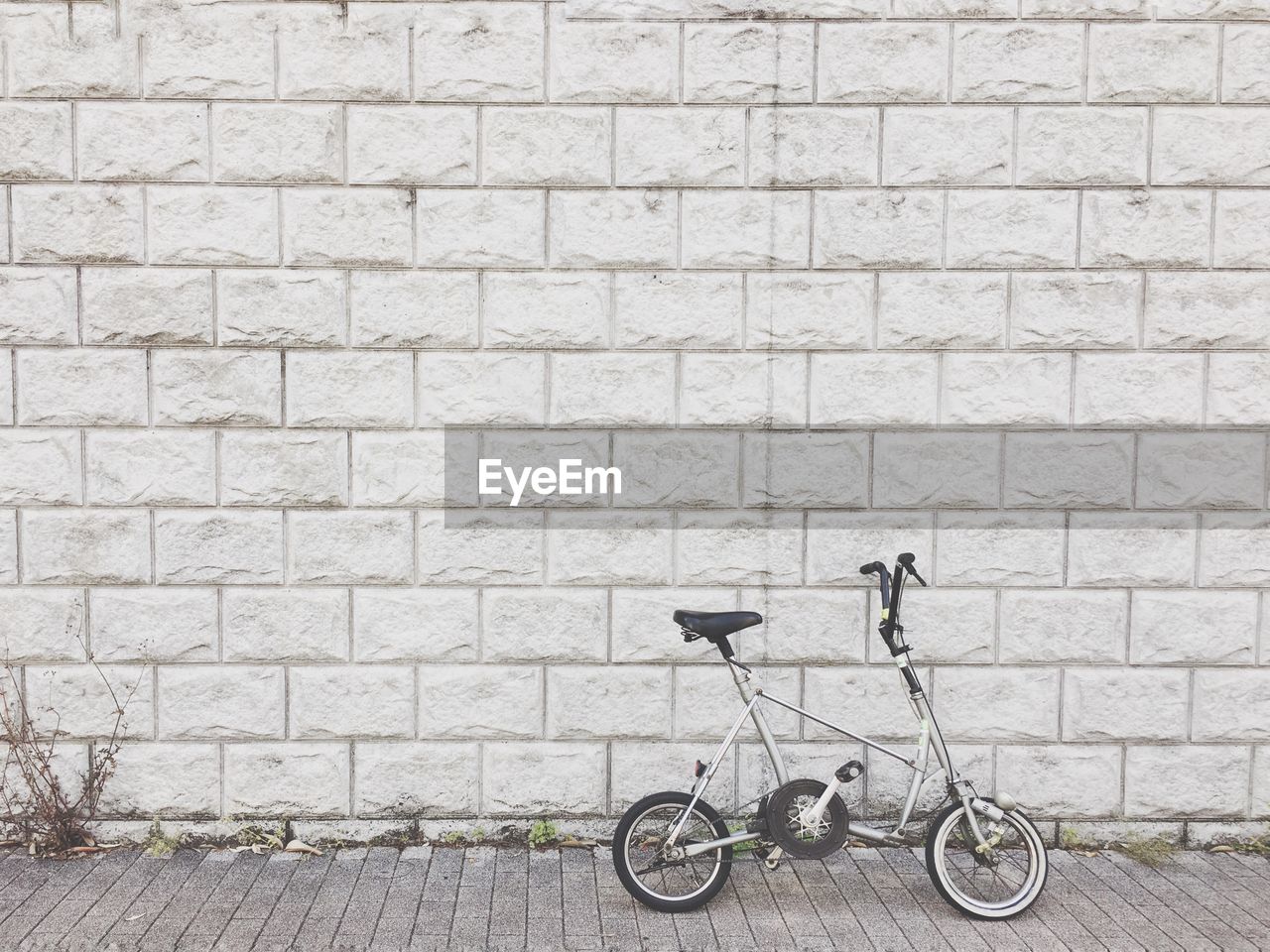 BICYCLE PARKED ON WALL