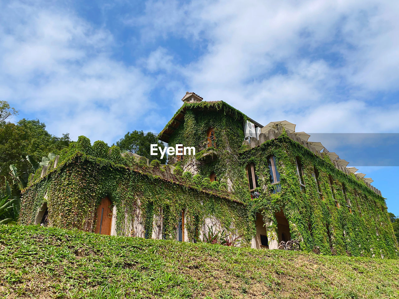 Low angle view of old ruin on field against sky