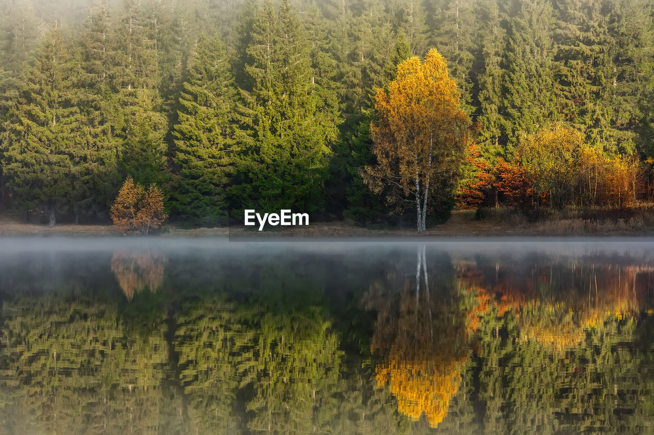 SCENIC VIEW OF LAKE DURING AUTUMN