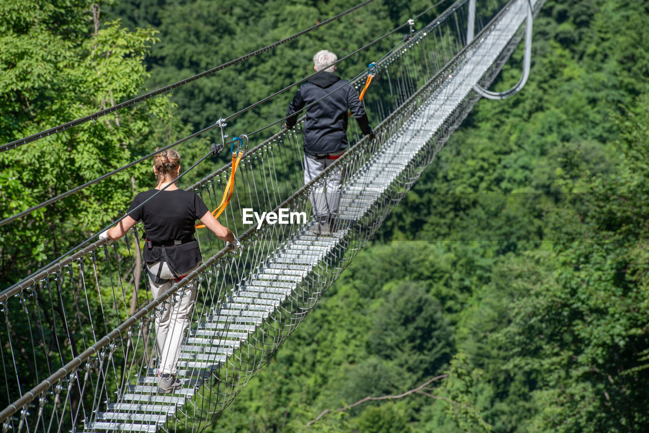 Low angle view of bridge against trees