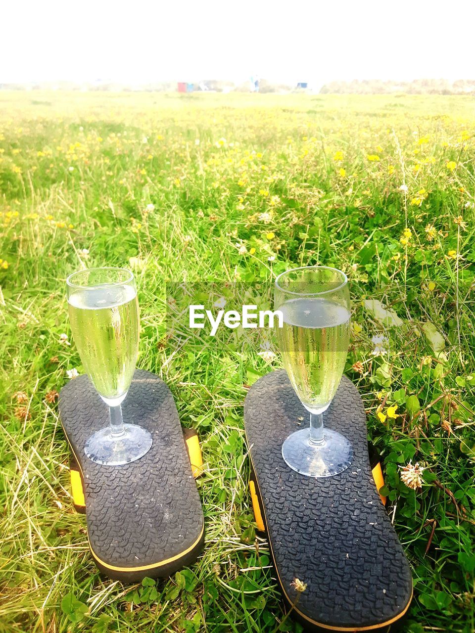 High angle view of champagne flutes on slippers at grassy field