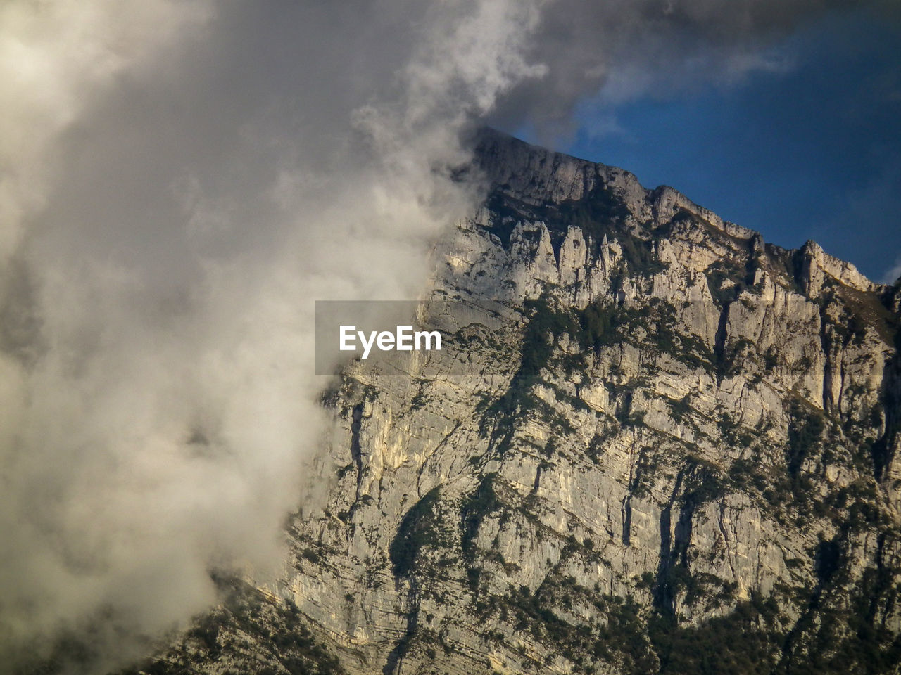 Low angle view of tree against mountain