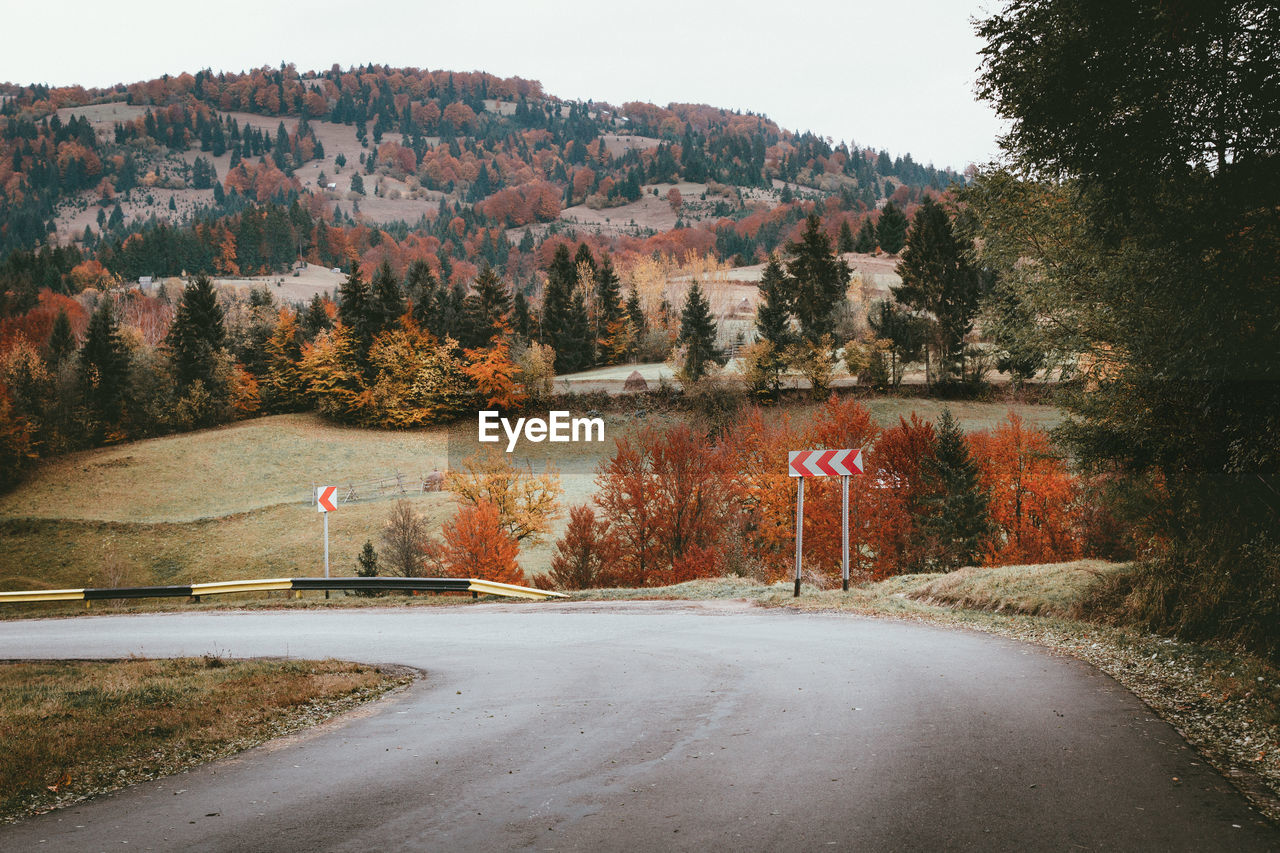 ROAD BY TREES DURING AUTUMN