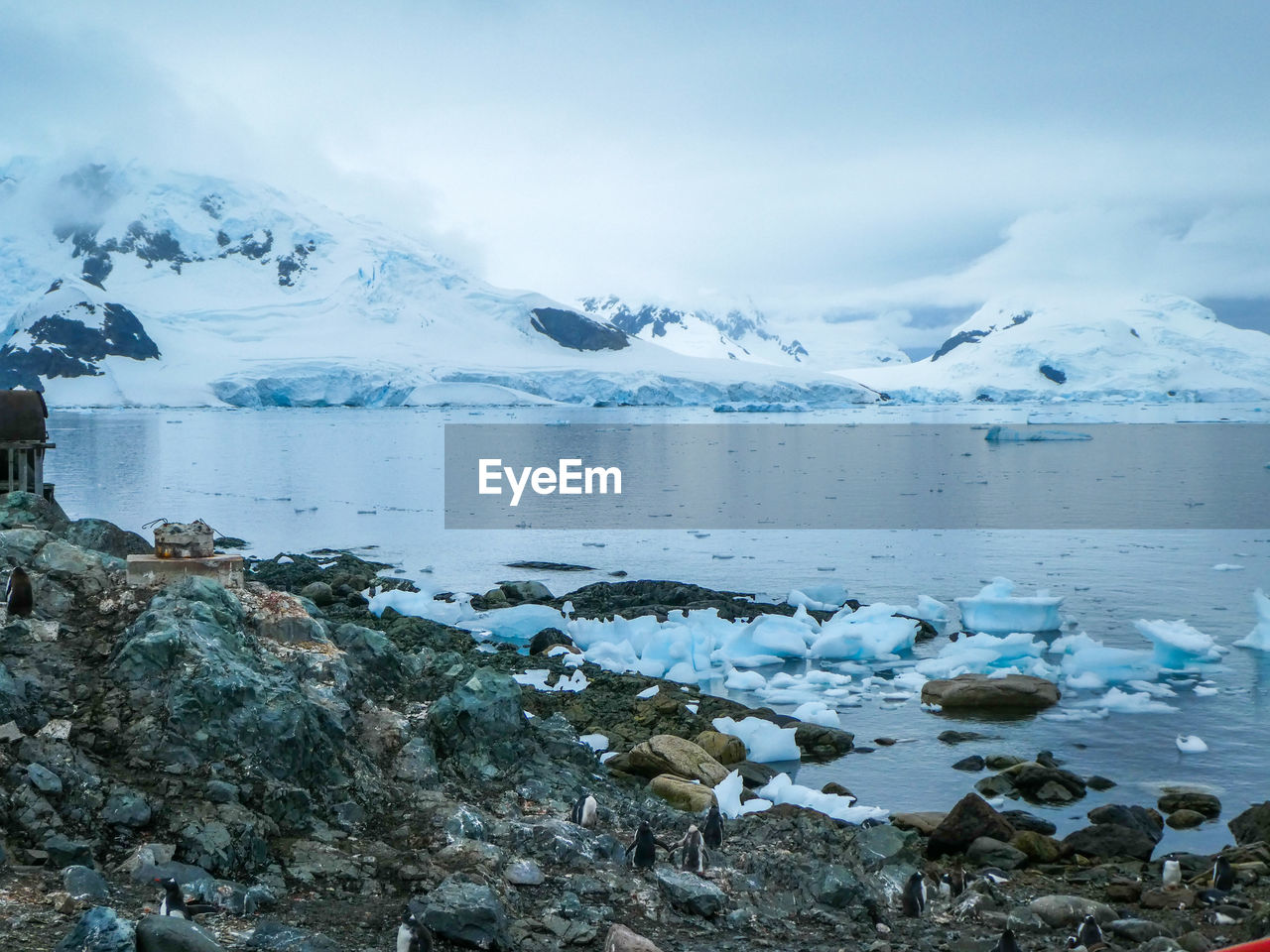 Antarctic landscape with penguins, sea, ice and mountains