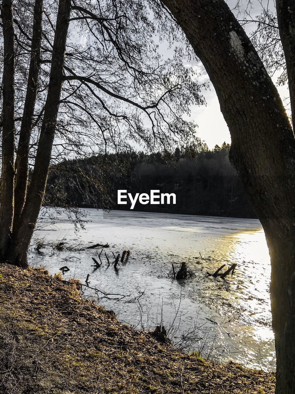 SCENIC VIEW OF FROZEN LAKE