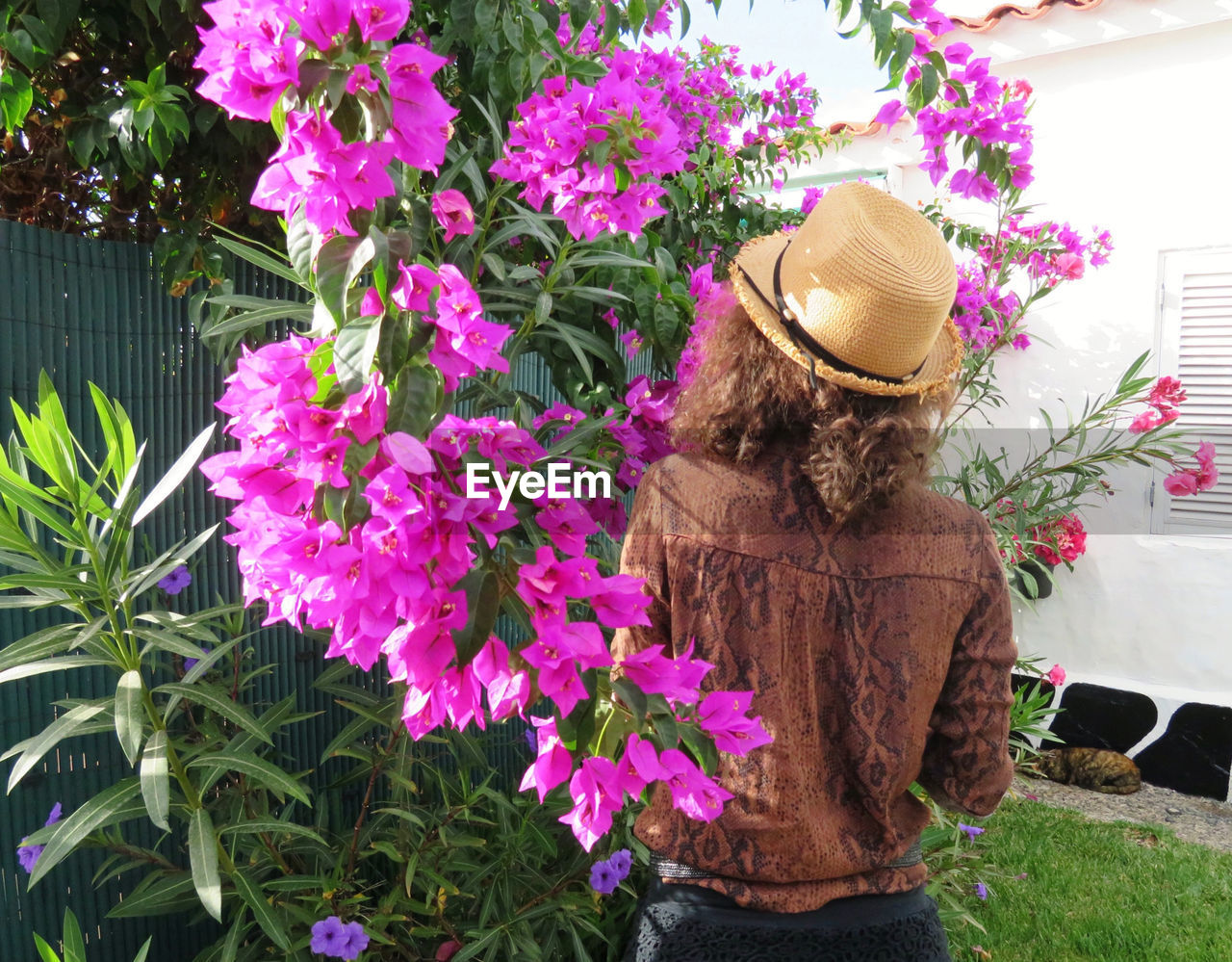 REAR VIEW OF WOMAN WITH PINK FLOWERING PLANTS AGAINST PURPLE WALL