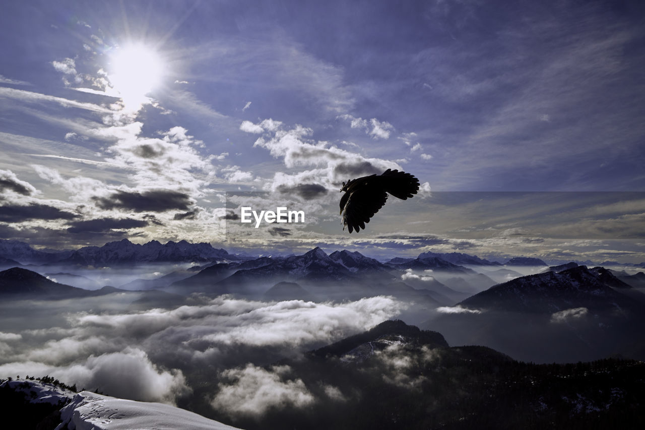 LOW ANGLE VIEW OF SILHOUETTE BIRD FLYING AGAINST SKY