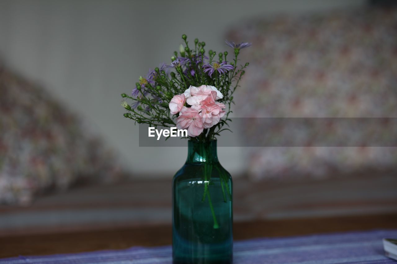 CLOSE-UP OF PINK ROSE FLOWER IN VASE
