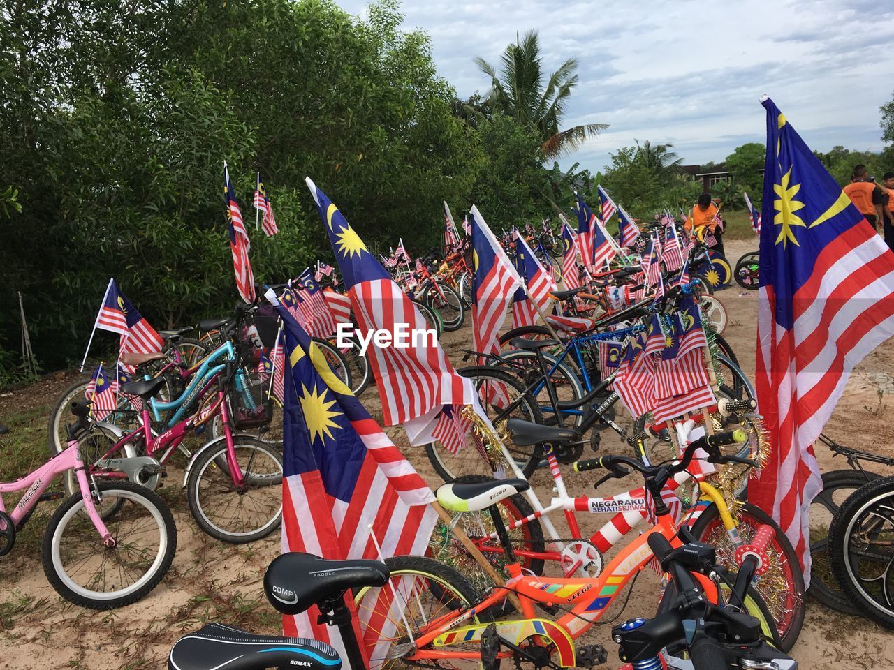 Bicycles with american flags parked against trees