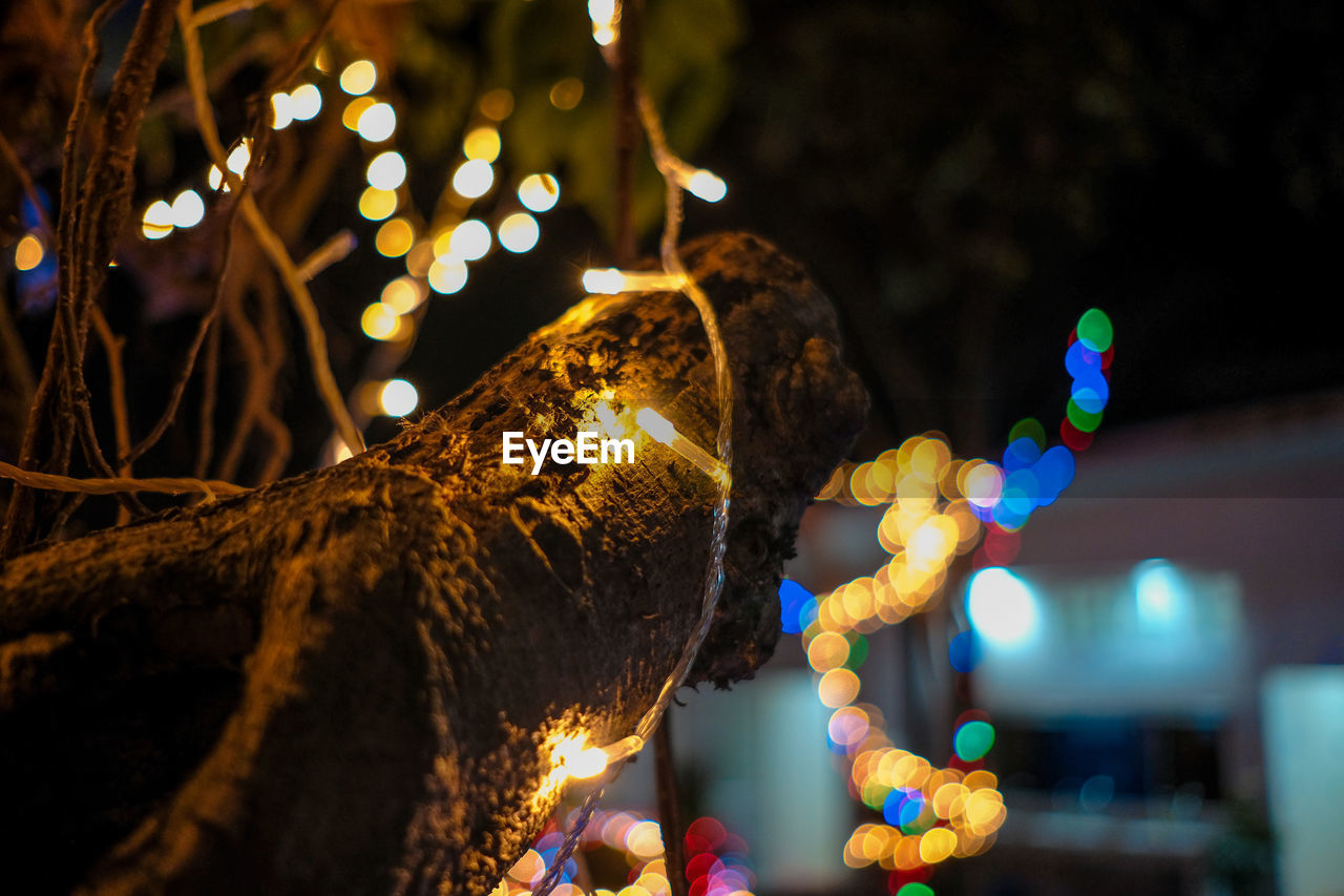 Close-up of illuminated christmas tree at night