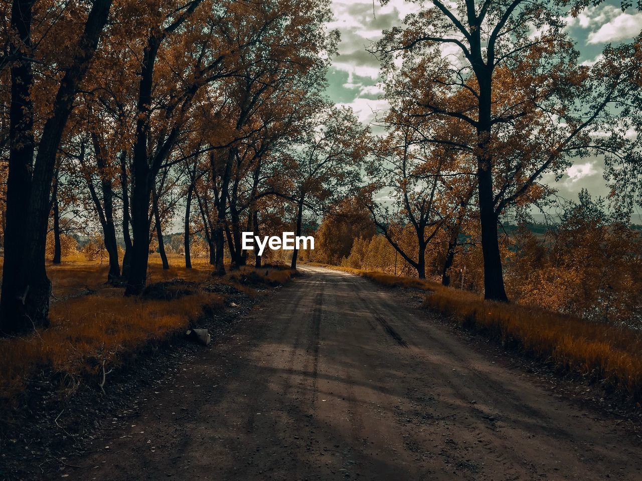 Road amidst trees during autumn