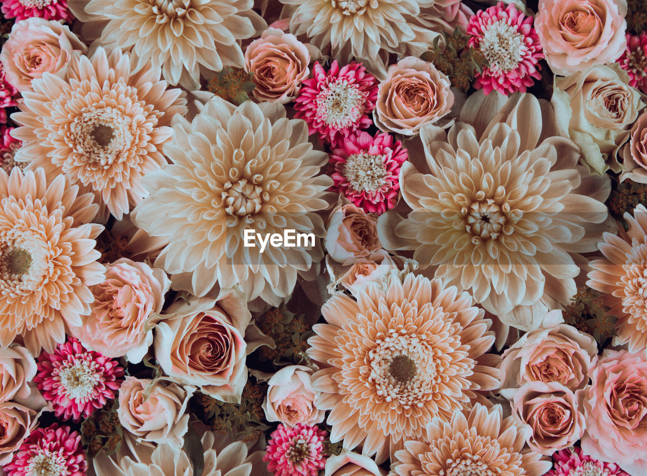 HIGH ANGLE VIEW OF VARIOUS FLOWERS ON BOUQUET