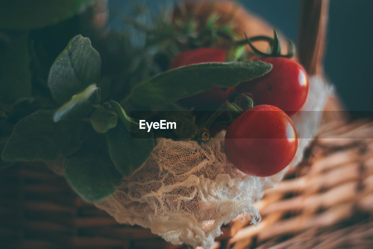 Close-up of tomatoes in picnic basket