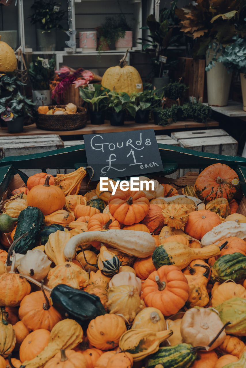 Variety of gourds on sale at the market in london, uk.