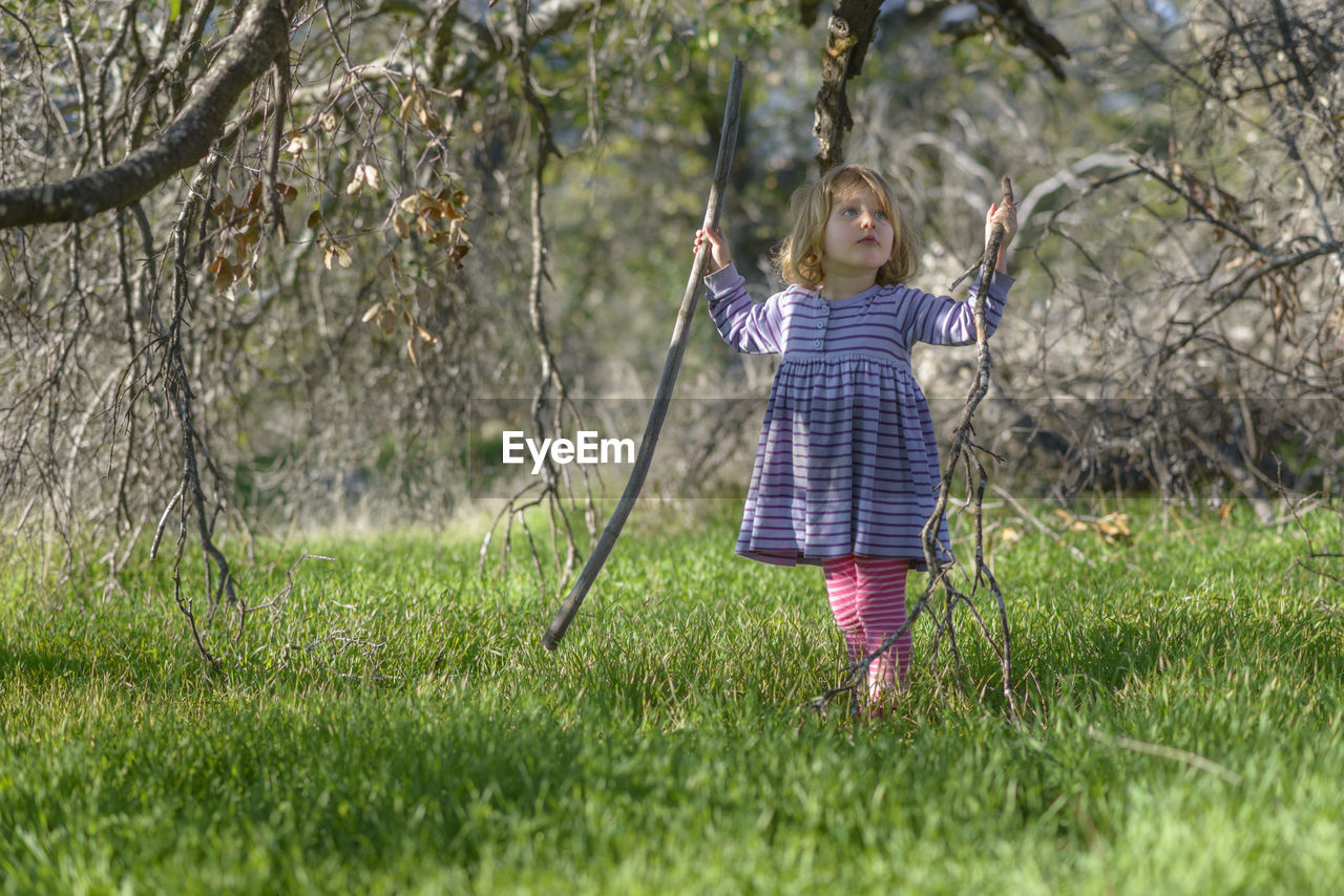 Girl holding sticks while standing on grassy field