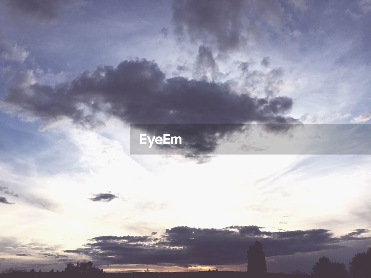 LOW ANGLE VIEW OF SILHOUETTE TREE AGAINST SKY