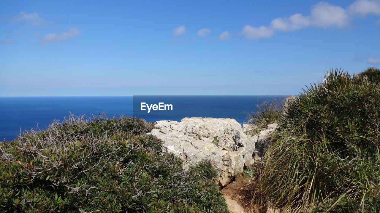 Scenic view of sea against clear blue sky