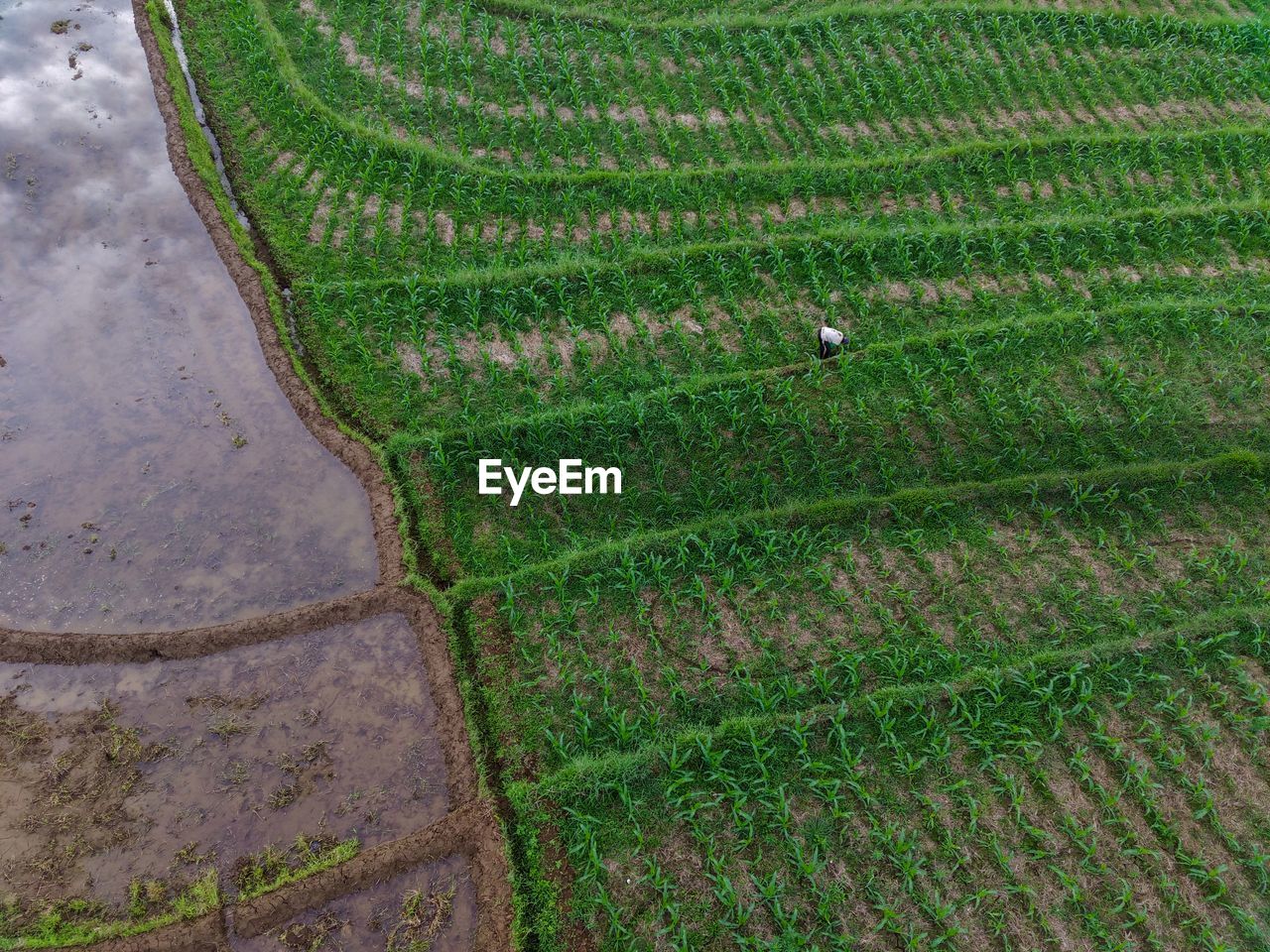 Aerial view beautiful morning view from indonesia about mountain and forest