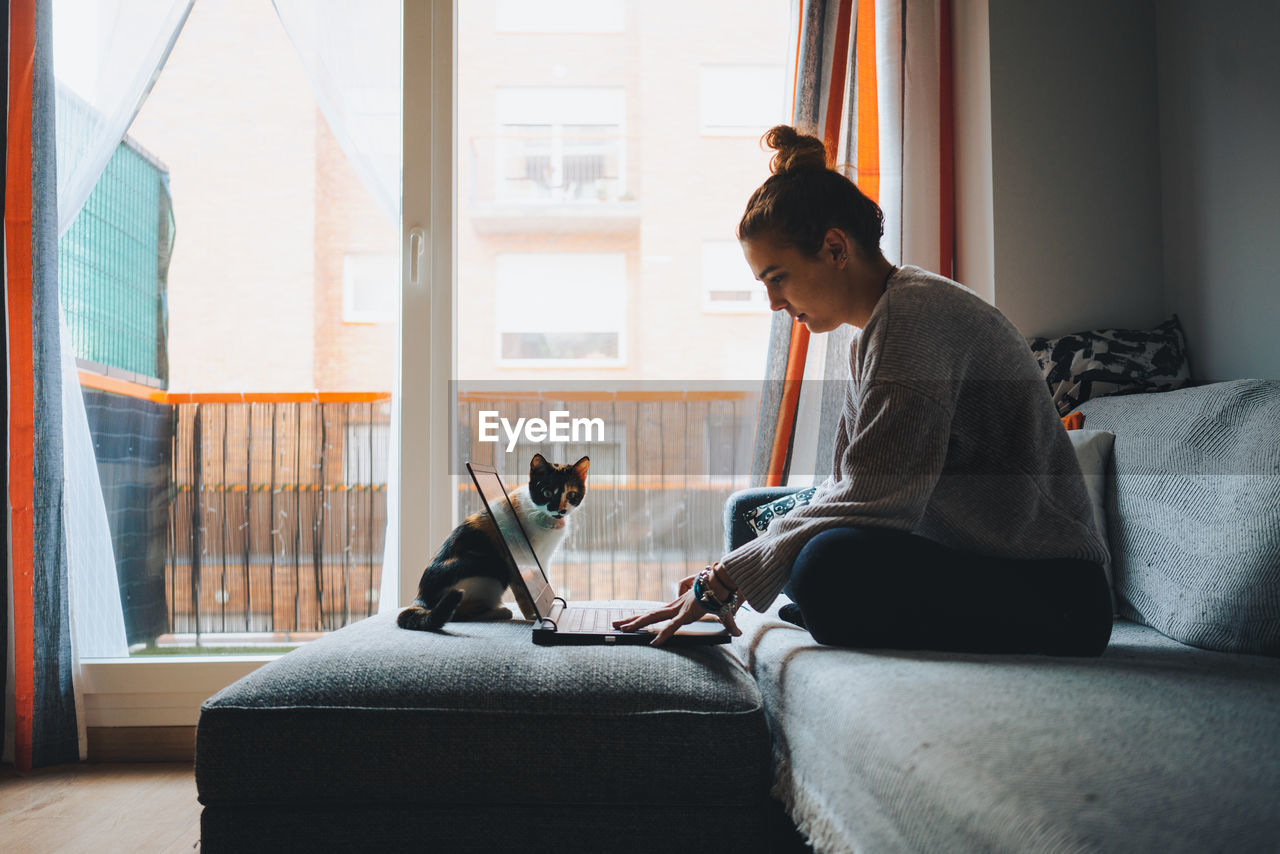 Crop of young female freelancer in casual clothes sitting on comfortable couch and working remotely on laptop near cute calico cat