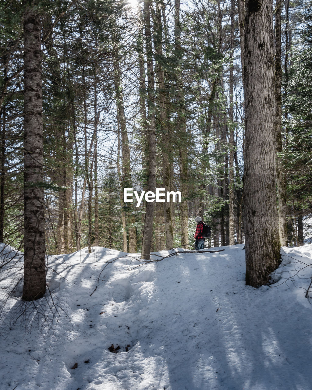 Man against trees in forest during winter