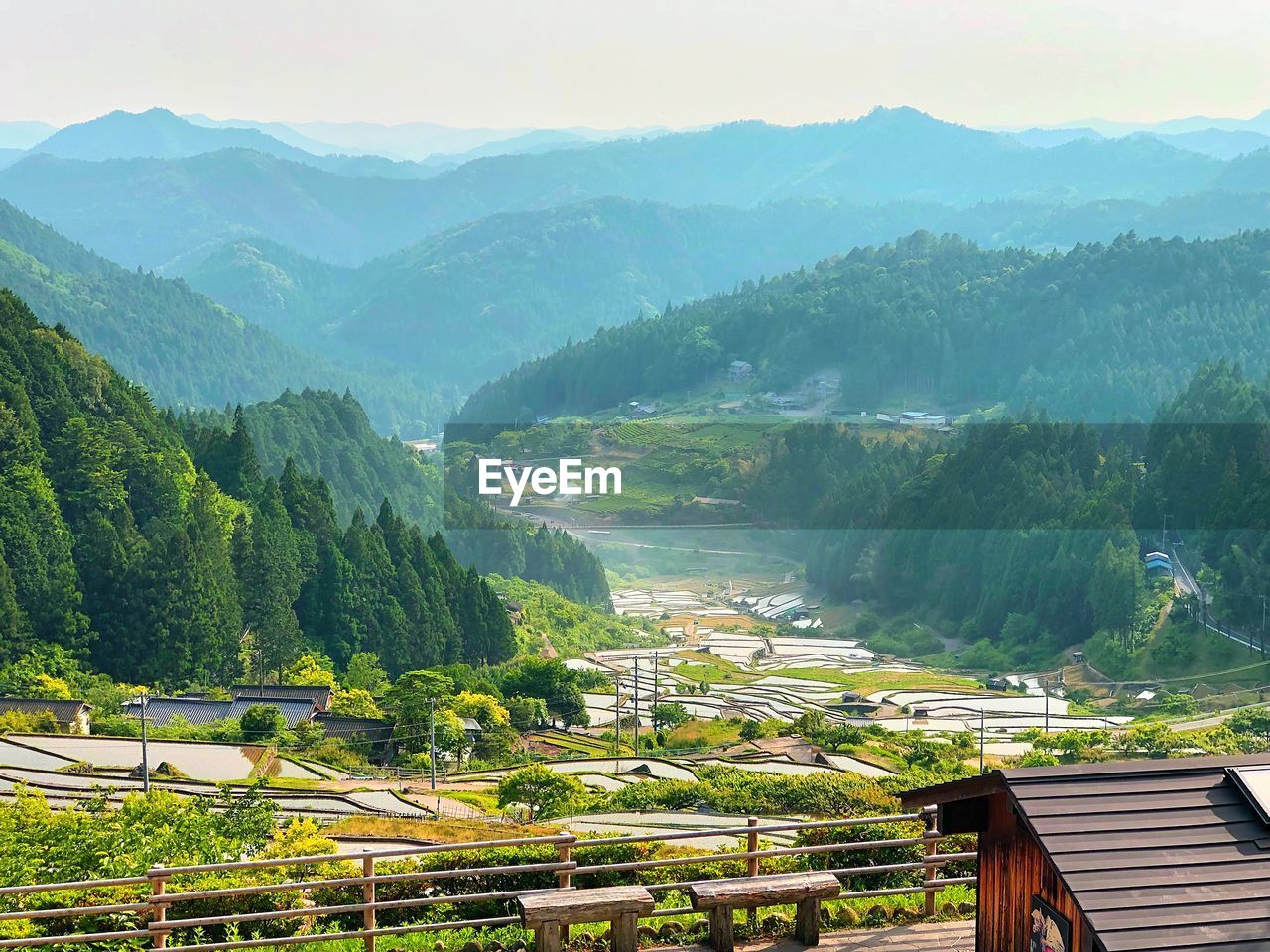 HIGH ANGLE VIEW OF TREES AND MOUNTAINS