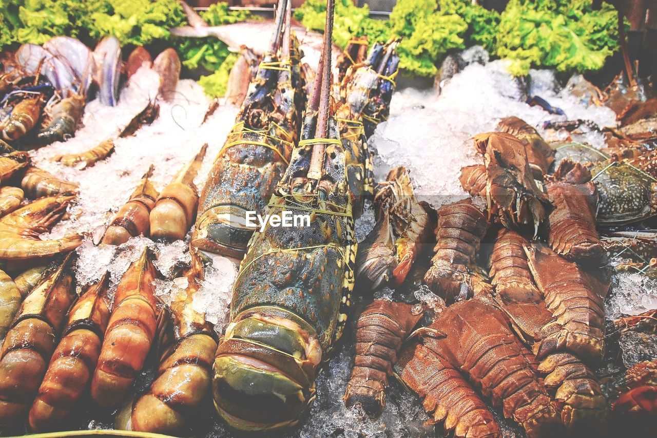 high angle view, food, food and drink, no people, day, seafood, freshness, large group of objects, abundance, retail, nature, market, for sale, outdoors, lobster, animal, healthy eating, wellbeing, variation, fish, arrangement