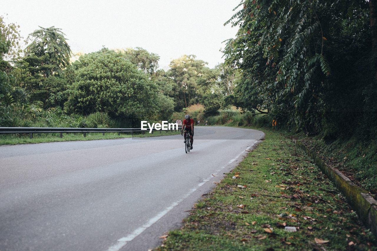 Man riding bicycle on road amidst trees