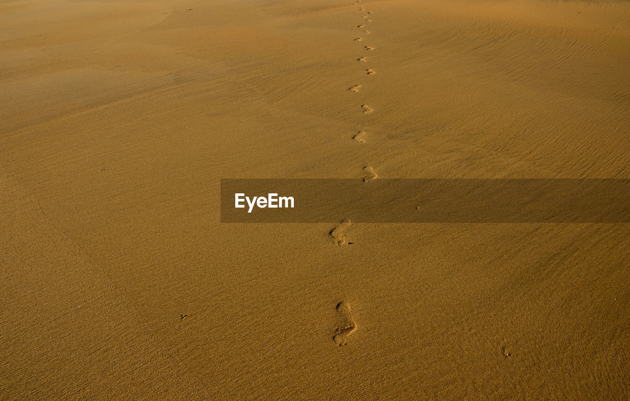 High angle view of footprints on sand at beach