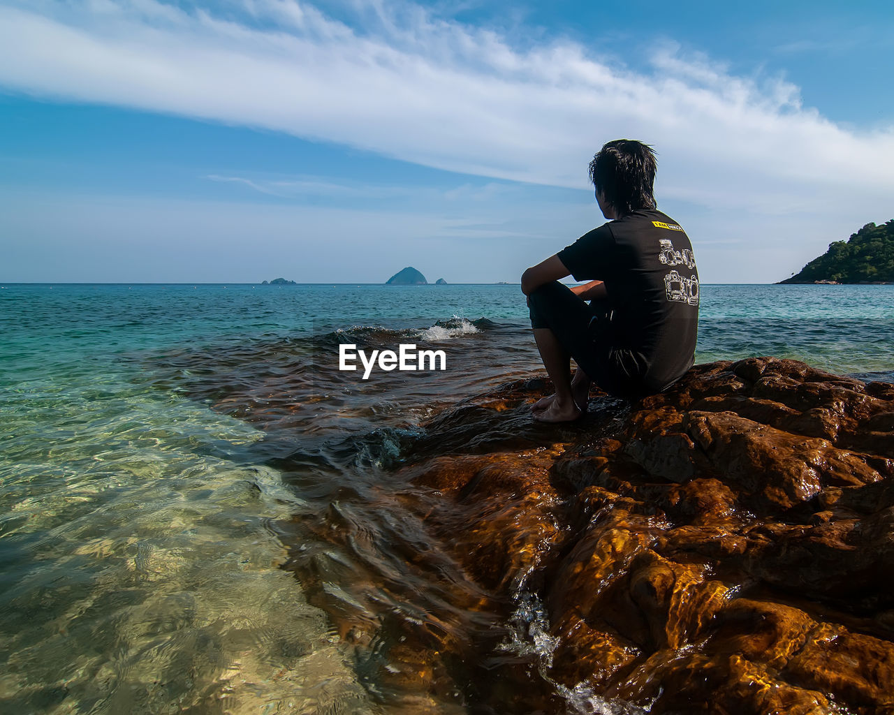 Rear view of man sitting on rock by sea