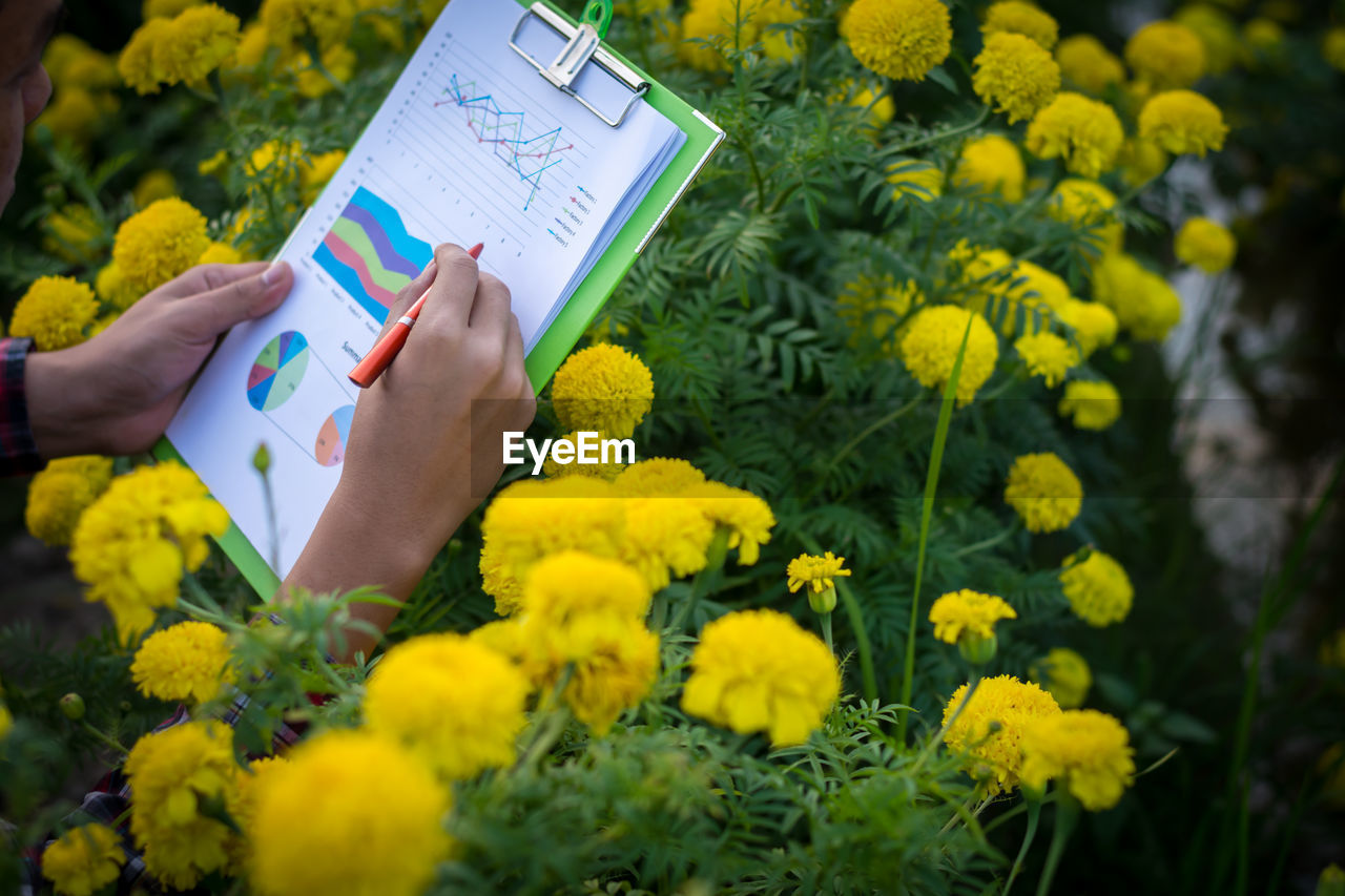 Cropped image of man analyzing graph by flowering plants