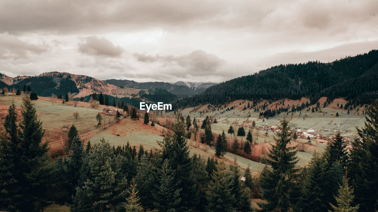 Patchy forest over mountain range