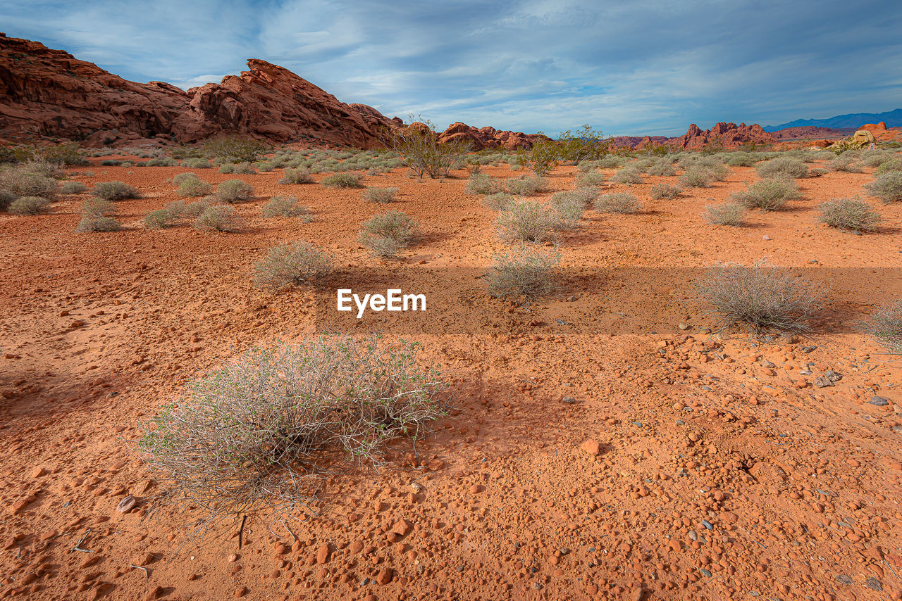 VIEW OF DESERT AGAINST SKY