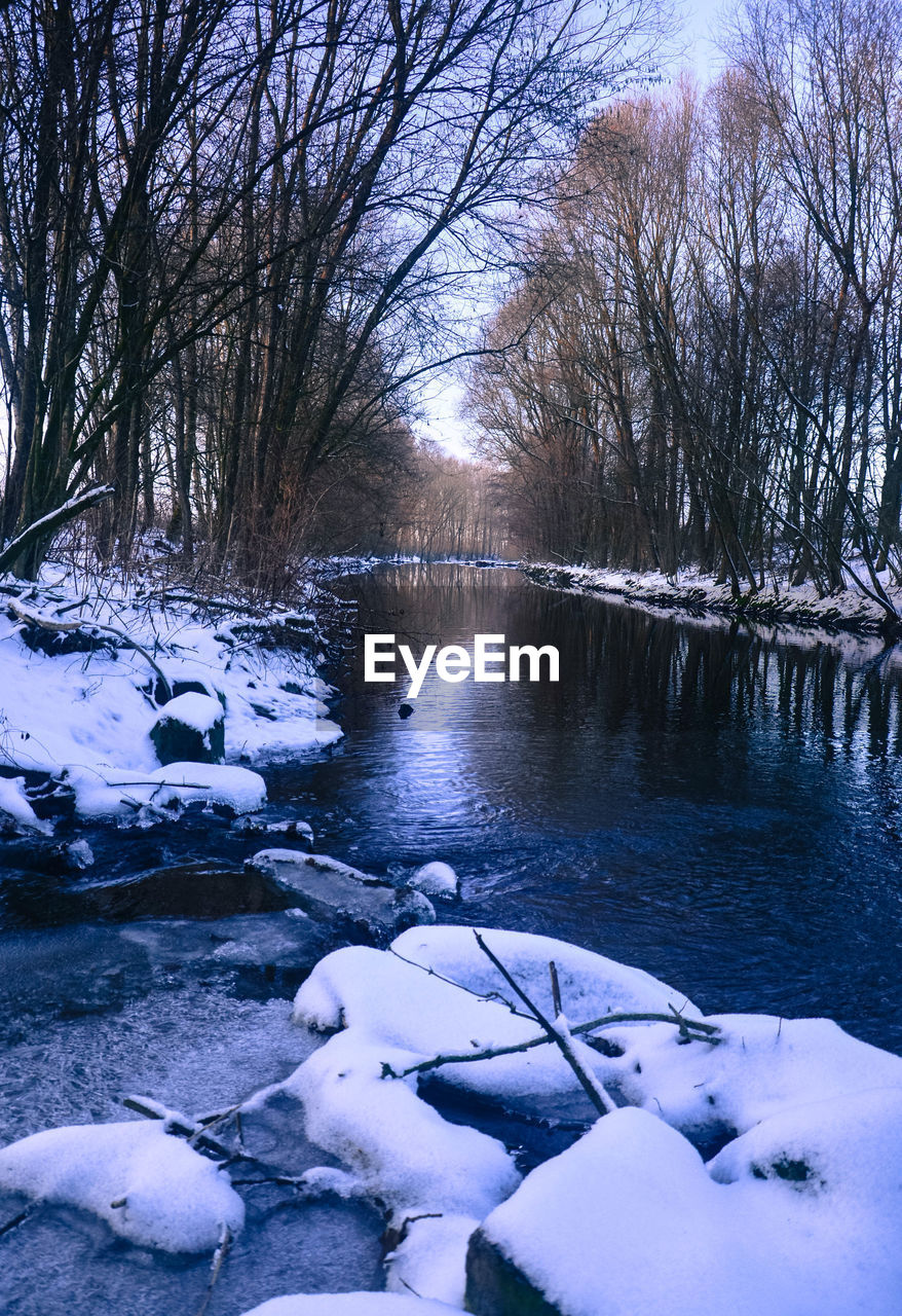 Scenic view of snow covered field