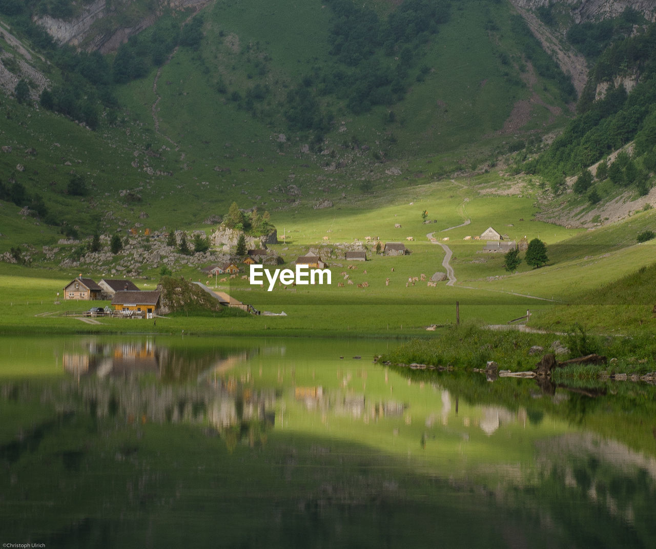 SCENIC VIEW OF GREEN LANDSCAPE