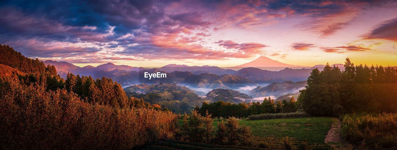 SCENIC VIEW OF TREES AGAINST SKY DURING SUNSET