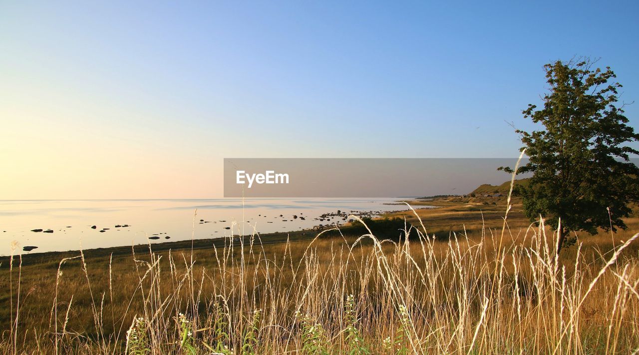 Scenic view of calm sea against clear sky