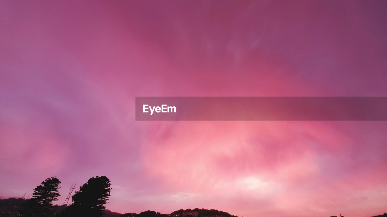 LOW ANGLE VIEW OF PINK AND TREES AGAINST SKY